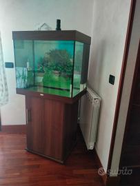 acquario juwel 200litri