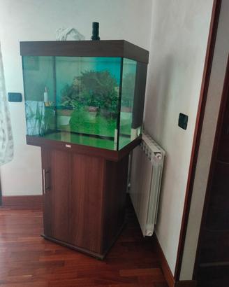 acquario juwel 200litri