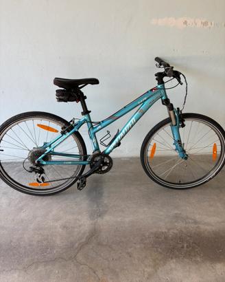 Bici specialized mtb