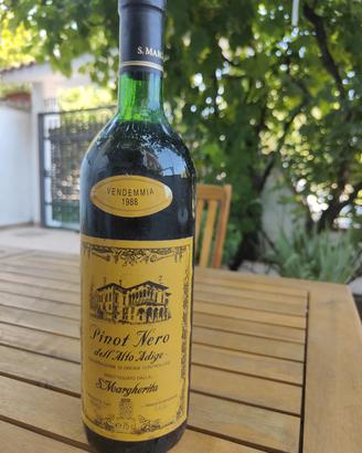 Pinot nero vendemmia 1988
