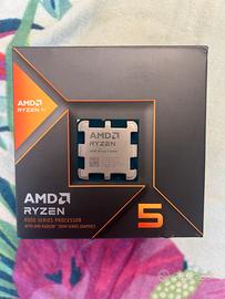 AMD Ryzen 5 8600g