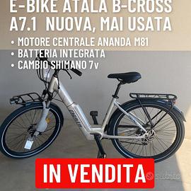 bici elettrica 