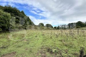 Terreno Agricolo Oriolo Romano [TE14VRG]