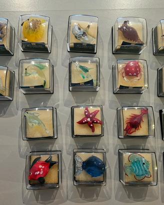 Vetri di murano 18 animali del mare