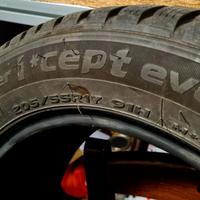 gomme invernali 205 55 17
