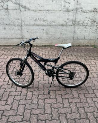 Bicicletta silverstar