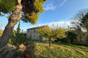 Casa Colonica con Terreno - Monterubbiano