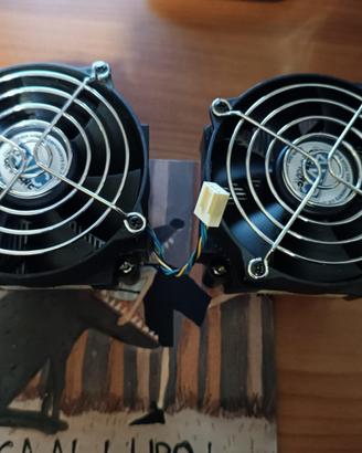 Dissipatori  + Ventole