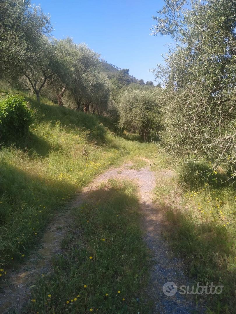 Terreni agricoli - Vista 3