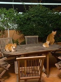 Tavolo con sedie in teak