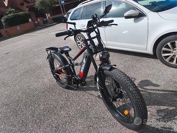 bicicletta elettrica 