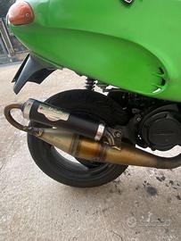 Top nardo 2 piaggio