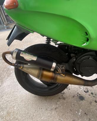 Top nardo 2 piaggio