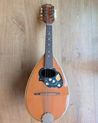 mandolino