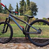 Specialized P3 Dirt Jump Bike