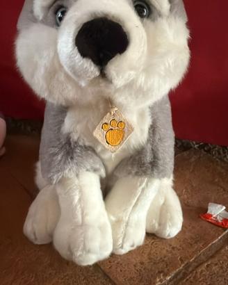 peluche