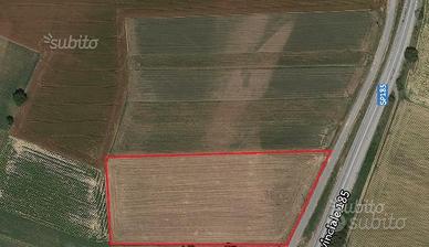 Terreno industriale edificabile