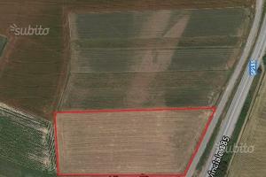 Terreno industriale edificabile