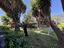 Immagine 25