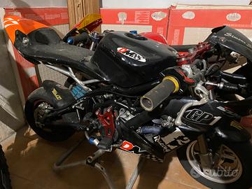 Minimoto DM midi