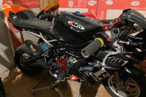 Minimoto DM midi