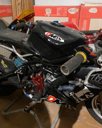 Minimoto DM midi