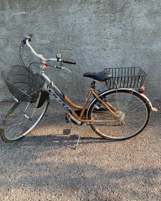 Bicicletta citybike