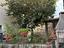 Immagine 13