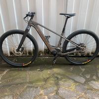 Trek Marlin 8 Plus