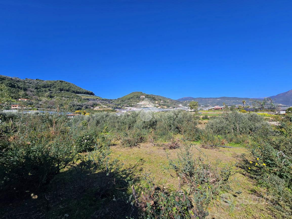 TER. AGRICOLO A TAGGIA - Vista 5