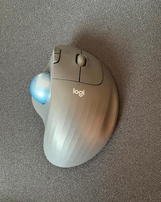 Mouse logi