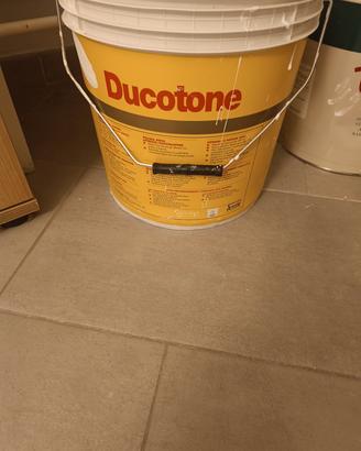 ducotone 14 lt
