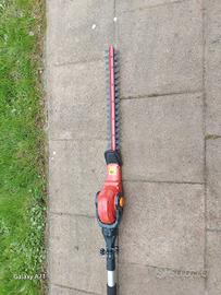 tagliasiepi con asta prolunga