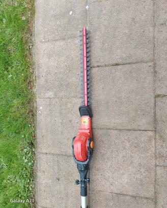 tagliasiepi con asta prolunga