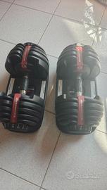 Coppia Manubri Regolabili Bowflex 2-24KG
