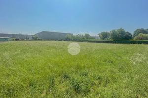 TERRENO A PONTIROLO NUOVO