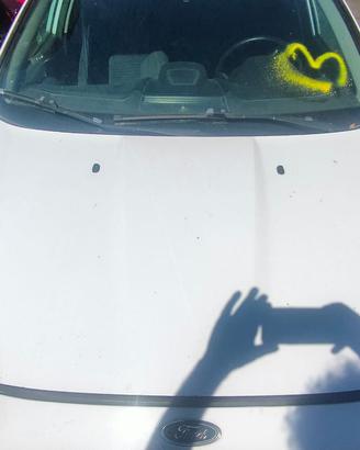 FORD FIESTA 2014 COFANO ANTERIORE