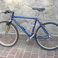 Mountain Bike Gary Fisher Procaliber