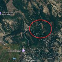 Monte Minerva ,terreno adatto biodiversità