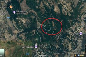 Monte Minerva ,terreno adatto biodiversità