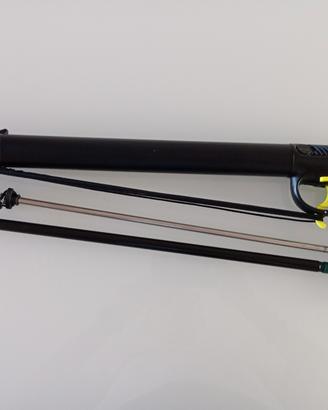 Seac asso 50