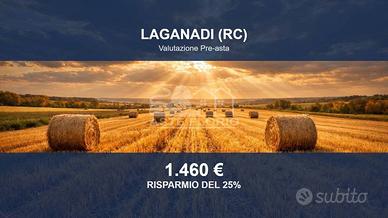 Immobile in asta di 8070 m² a Laganadi