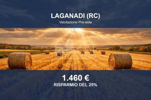 Immobile in asta di 8070 m² a Laganadi