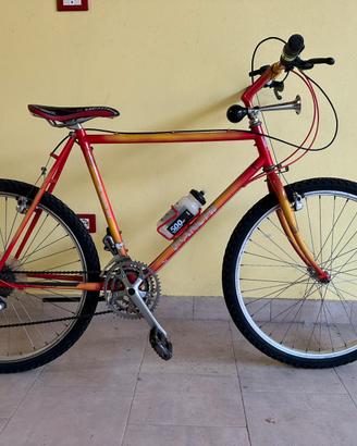 Bici montainbike