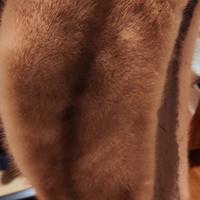 Collo in  pelliccia vera