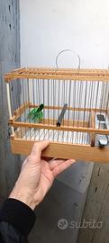 gabbia trasportino cinciarella 