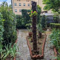 Appartamento Firenze Sud, Coverciano - Campo Marte
