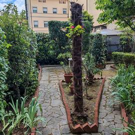 Appartamento Firenze Sud, Coverciano - Campo Marte