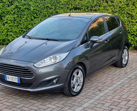Ford Fiesta Neopatentati