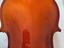 Immagine 4